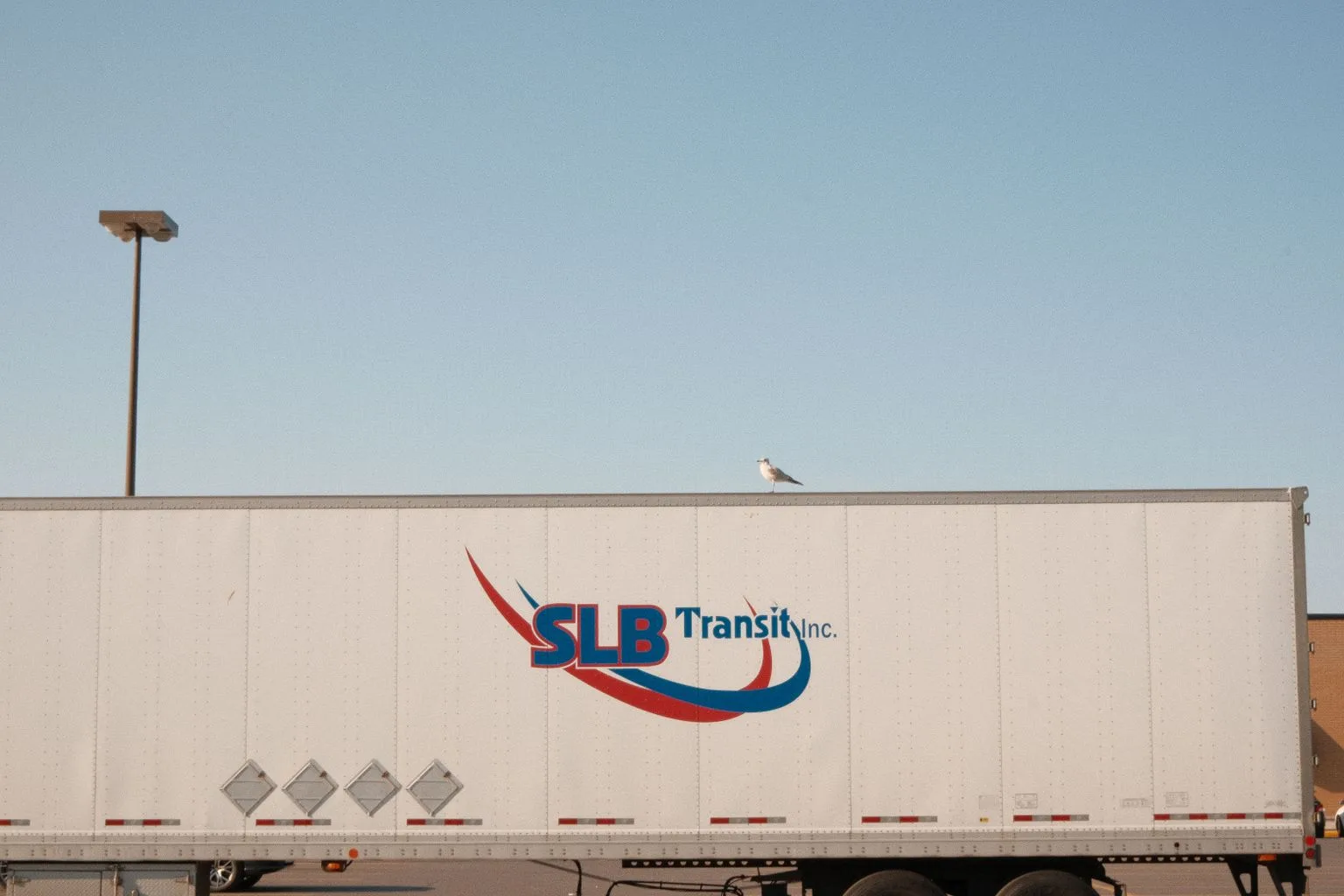 Tell Us Why Your Brake Is Not Working Properly - Brake Pad & Shoe Replacement