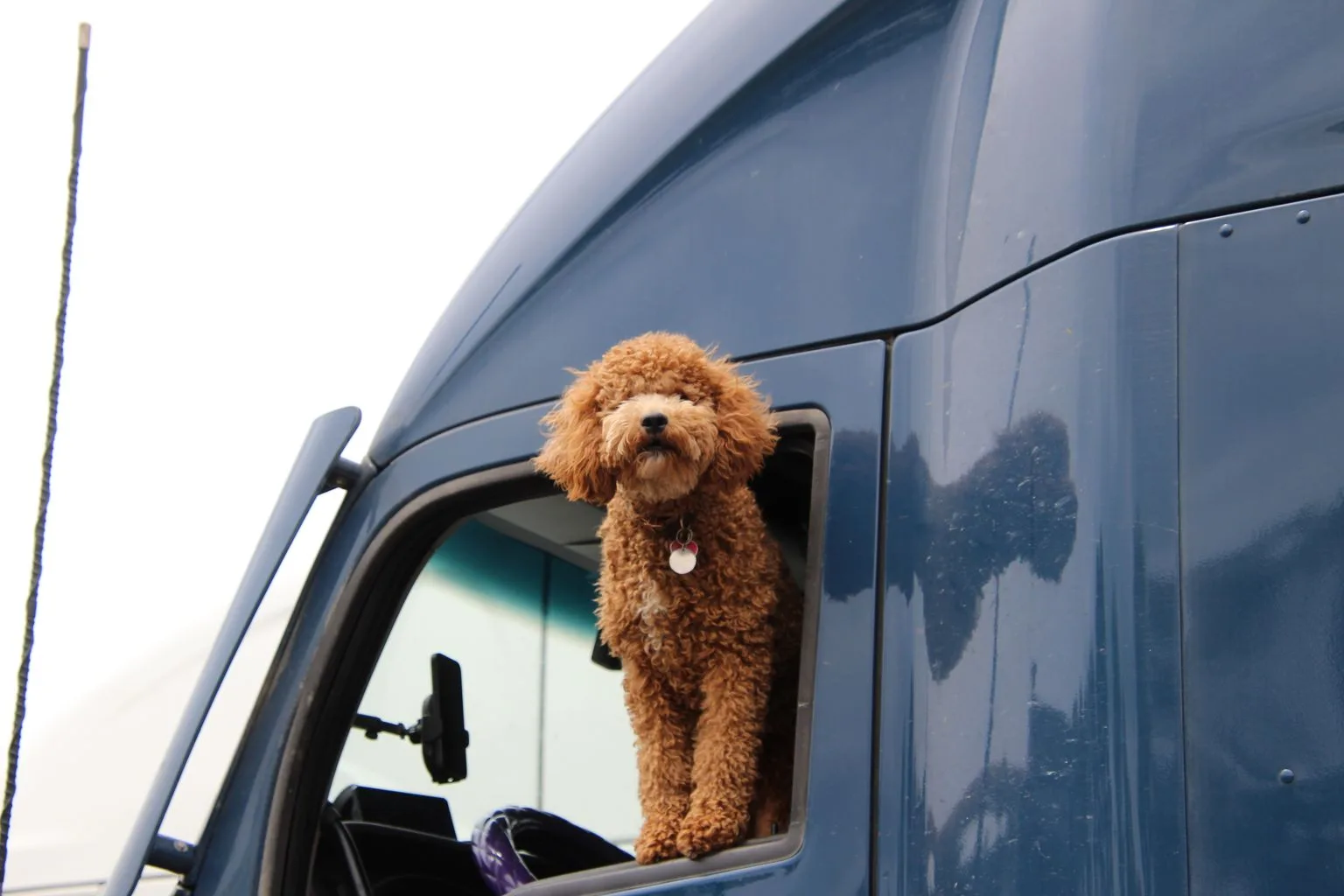Position Changes Requirements - Semi Truck Tire Replacement